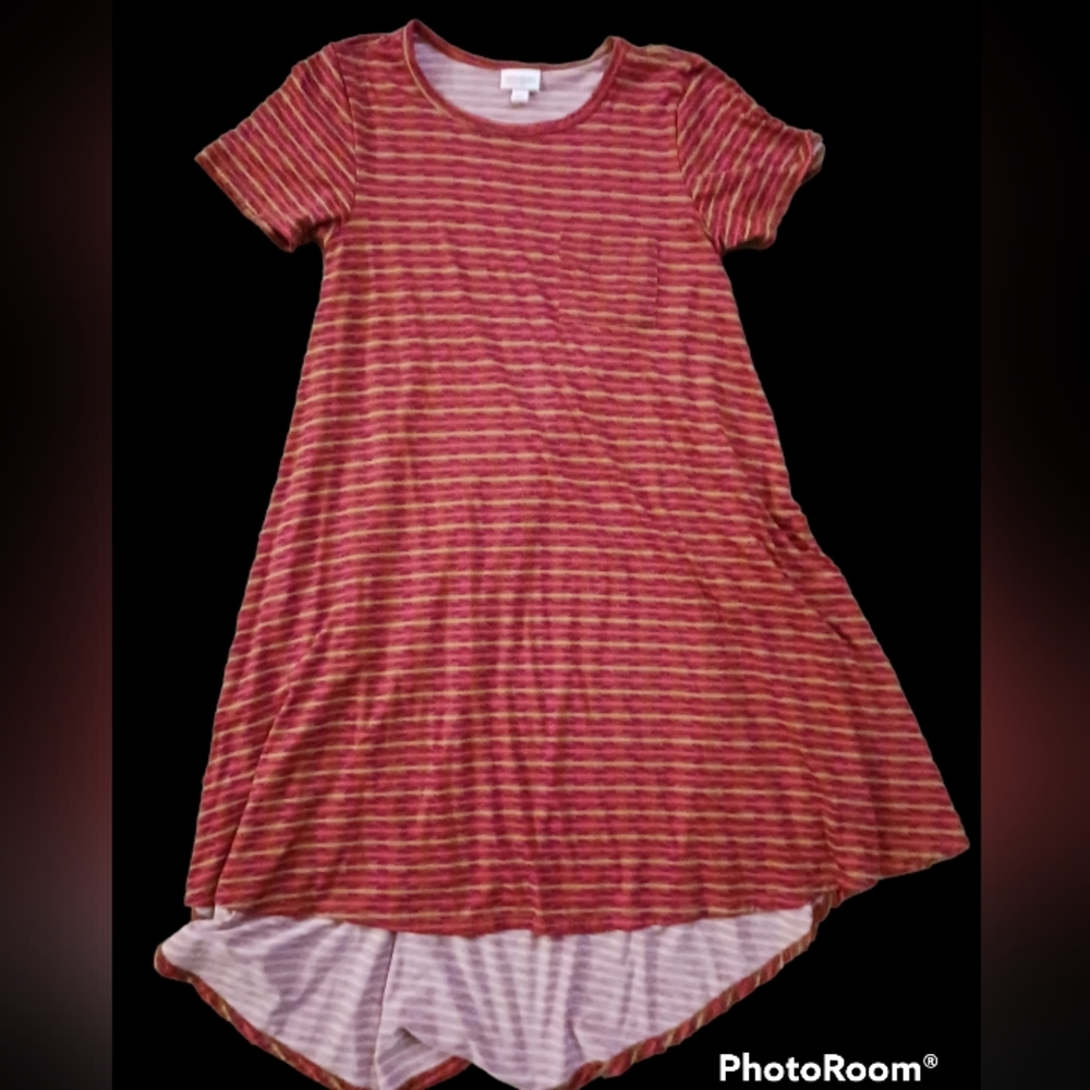 LuLaRoe Striped Carly dress